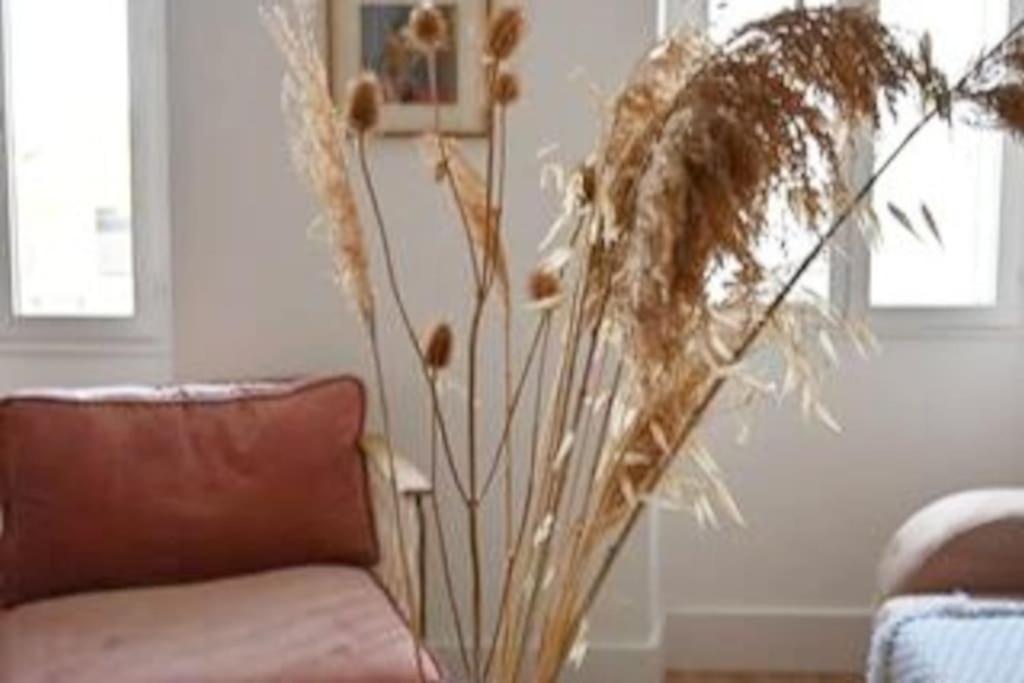 Appartement Chez Zize T2 Unique- Roucas-blanc Marseille